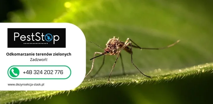 Odkleszczanie - PestStop