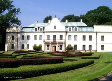 Program stypendialny dla młodych kobiet – darmowe warsztaty, mentoring i kursy z AI