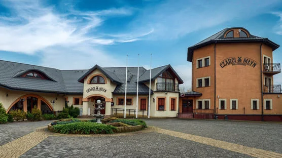 Grafika promocyjna wydarzenia Babski Comber — noc tańca, jedzenia i kobiecej energii