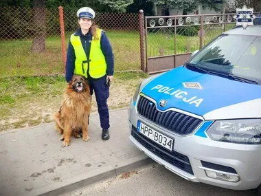 Owczarek wskoczył do auta pod szkołą. Zaufał tylko jednej policjantce