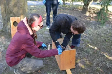 Harcerze zawiesili budki lęgowe i od razu zamienili park w małą ostoję ptaków