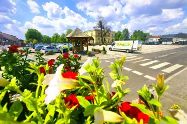 Nowe nasadzenia zmieniają centrum Sławkowa – zieleni przybywa w kilku punktach miasta