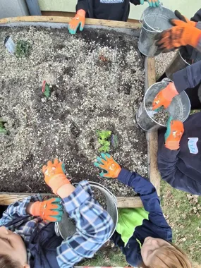 Uczniowie w Siewierzu założyli ogród deszczowy i zamienili lekcję w działanie